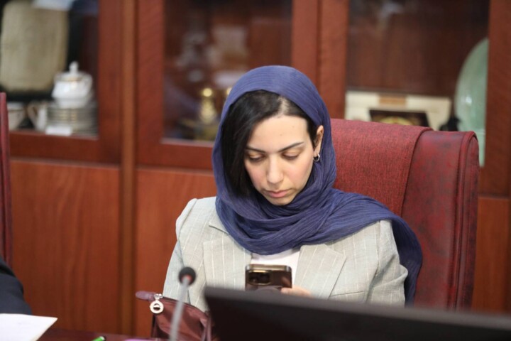 نشست هم‌اندیشی رئیس سازمان سرمایه‌گذاری ایران با مدیران آژانس‌های سرمایه‌گذاری