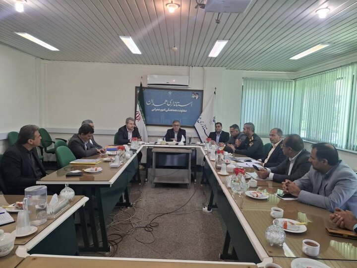 هفتمین نشست کارگروه مولدسازی دارایی‌های دولت در استان همدان برگزار شد