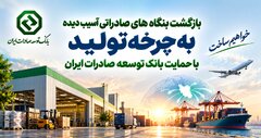 بازگشت بنگاه‌های صادراتی آسیب‌دیده به چرخه تولید با حمایت بانک توسعه صادرات ایران