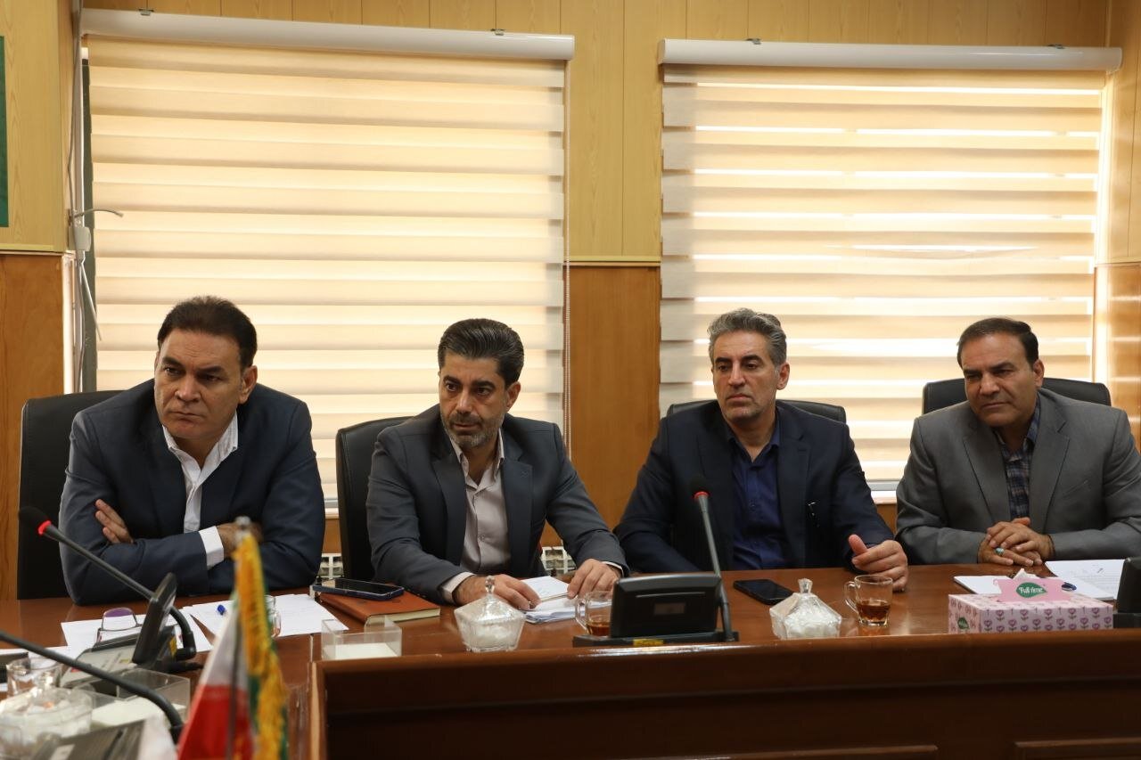 ۱۲۱ ملک مازاد دولتی در ایلام مجوز فروش گرفت
