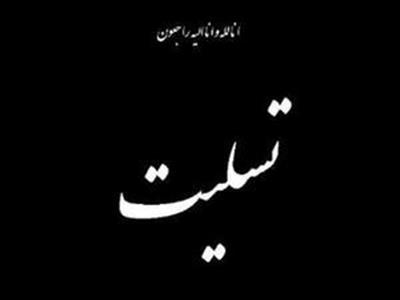 پیام تسلیت وزیر اقتصاد به رئیس سازمان بازرسی کل کشور