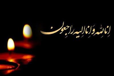 پیام تسلیت مدیركل  امور اقتصادی و دارایی كهگیلویه وبویراحمد به مناسبت درگذشت همكار ارجمند و گرامی جناب آقای عبدالعظیم  شفیعی اردكانی