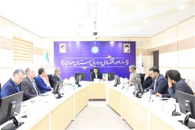 نشست هم اندیشی مسائل بیمه ایران در استان همدان برگزار شد