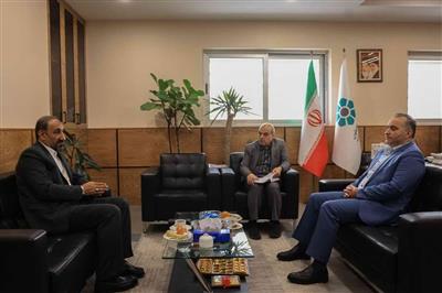 افزایش همكاری‌های بانك توسعه تعاون با اتحادیه سراسری تولیدكنندگان فرش دستباف