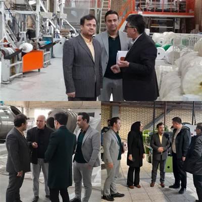 بازدید مدیر كل امور اقتصادی و دارایی از سه شركت دارای سرمایه گذار خارجی