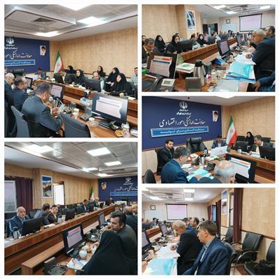 برگزاری جلسه بررسی طرح‌های اشتغال‌زایی دستگاه‌های اجرایی استان تهران