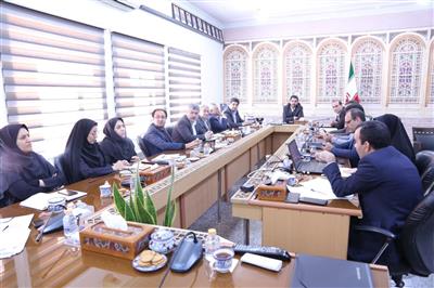 نشست ستاد استانی مولدسازی دارایی های دولت در یزد برگزار شد