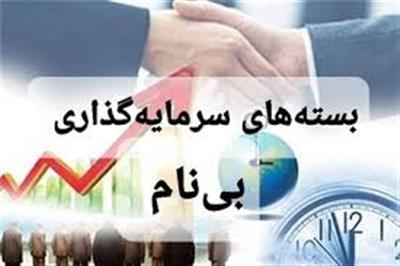 بسته‌های سرمایه‌گذاری بدون ‌نام ظرفیت جدید سرمایه گذاری است