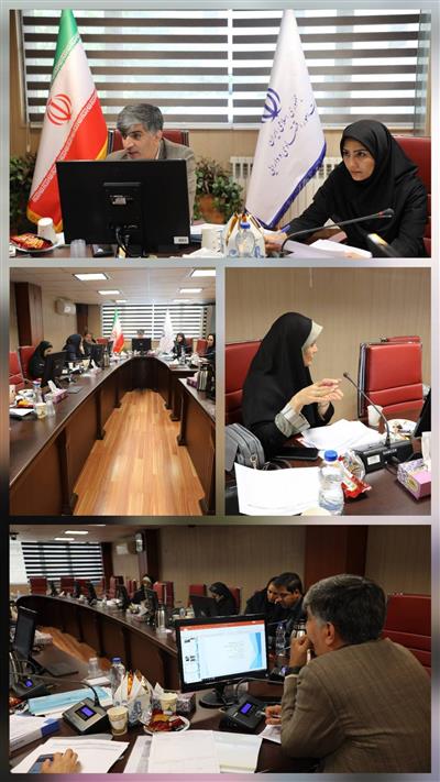 برگزاری سه نشست تخصصی بررسی طرح‌های اشتغال، فرهنگی و گردشگری ذیل تبصره (۱۸) در استان تهران