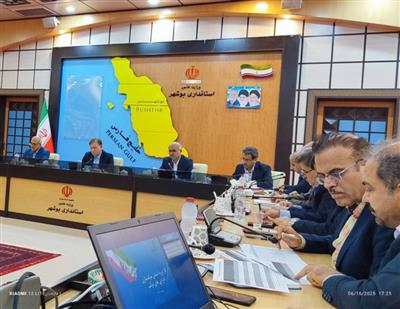 مولدسازی دارایی های دولت با تكیه بر عزم جدی مدیران دستگاههای اجرایی عملی میشود