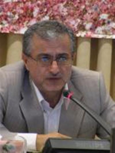 هدف از اجرای طرح هدفمند كردن یارانه ها منطقی كردن قیمت هاست