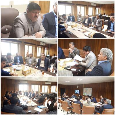 پنج طرح با مجوز تسهیلات ارزی در ایلام آماده واگذاری است