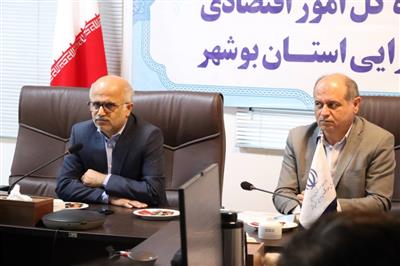 دهمین جلسه هم‌اندیشی ذیحسابان دستگاه‌های اجرایی استان بوشهر برگزار شد
