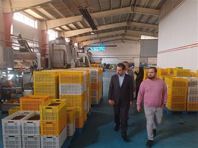 بازدید مدیر كل امور اقتصادی و دارایی استان قزوین از زرین تاك آریا