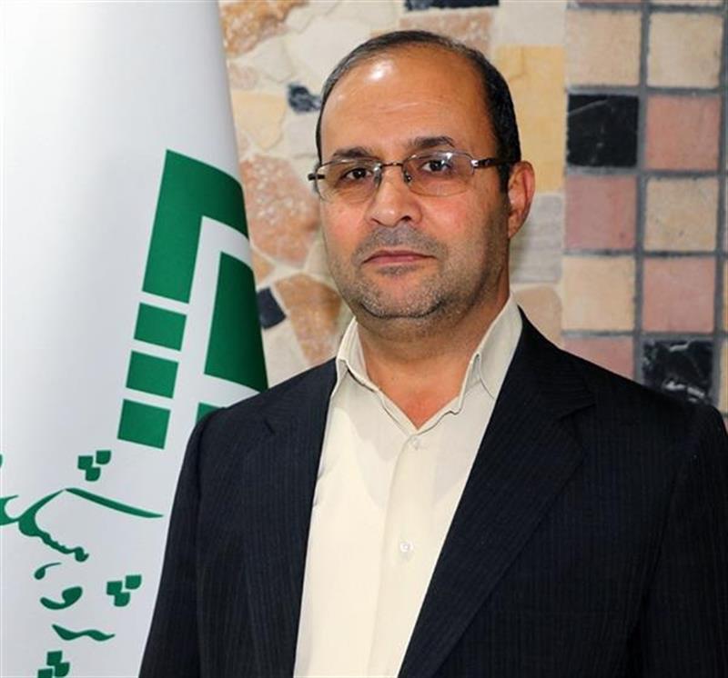 رئیس پژوهشکده امور اقتصادی منصوب شد