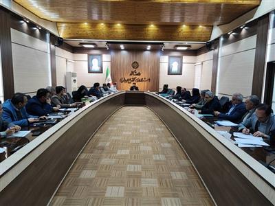 بررسی و تصویب ۳۷۷ طرح اقتصادی در دومین جلسه كمیته استانی