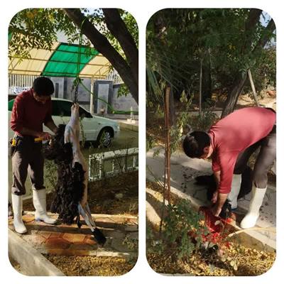 ذبح قربانی به نیت سلامتی