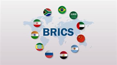 مذاكره وزیر اقتصاد با رییس بانك توسعه جدید بریكس/ بررسی روند پیوستن ایران به بانك NDB