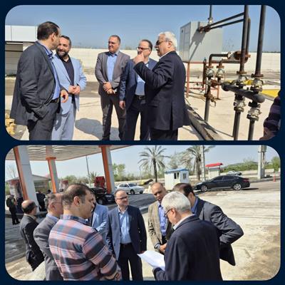 بازدید از طرح سرمایه گذاری مجتمع خدماتی رفاهی نخل