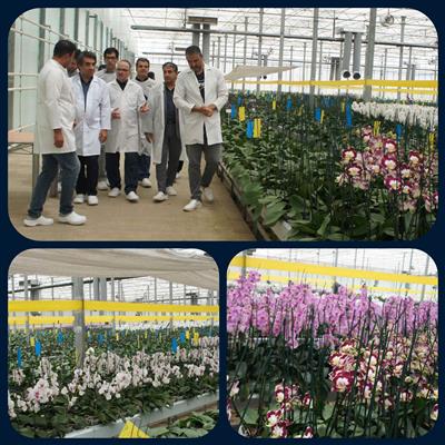 پیگیری میدانی مدیركل اقتصادی گیلان از پروژه عظیم شهرك گلخانه‌ای شیشه‌ای نداگستر میلاد