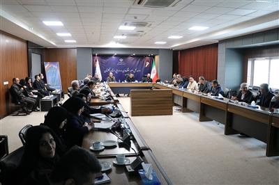 بررسی چالش‌های معاملات دولتی در سامانه تداركات الكترونیكی دولت در استان گلستان